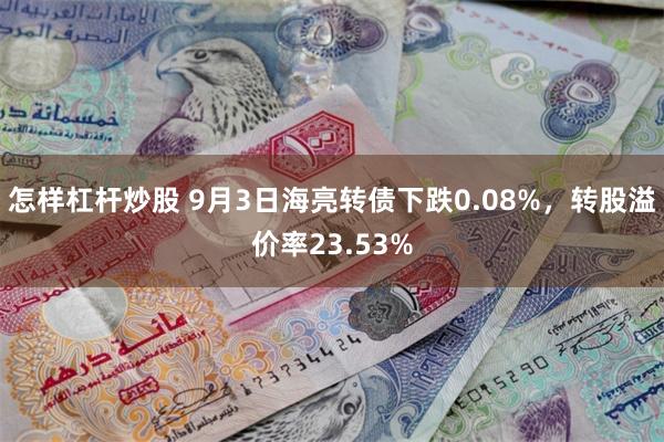 怎样杠杆炒股 9月3日海亮转债下跌0.08%，转股溢价率23.53%