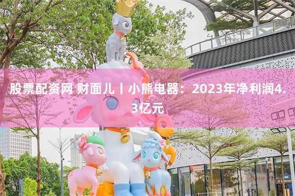 股票配资网 财面儿丨小熊电器：2023年净利润4.3亿元