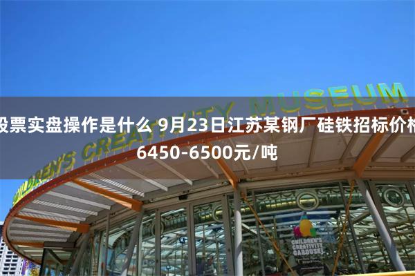 股票实盘操作是什么 9月23日江苏某钢厂硅铁招标价格6450-6500元/吨