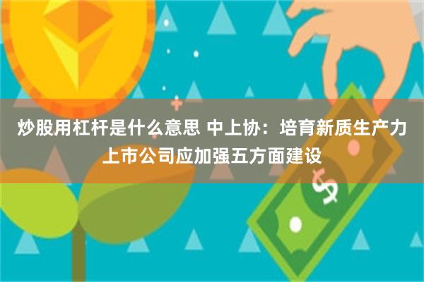 炒股用杠杆是什么意思 中上协：培育新质生产力上市公司应加强五方面建设