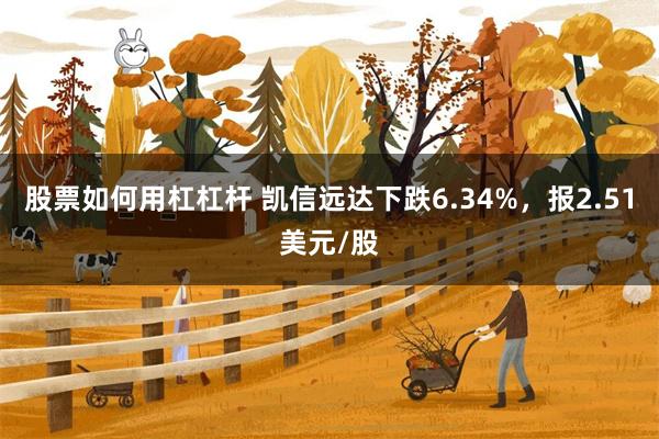 股票如何用杠杠杆 凯信远达下跌6.34%，报2.51美元/股