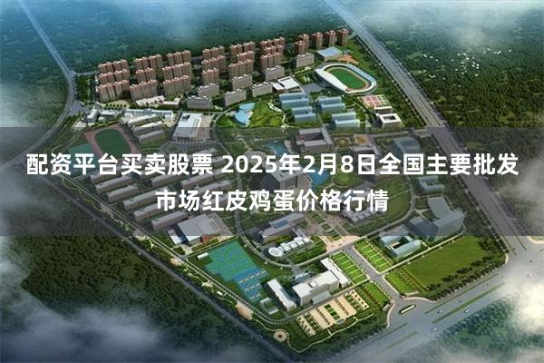 配资平台买卖股票 2025年2月8日全国主要批发市场红皮鸡蛋价格行情