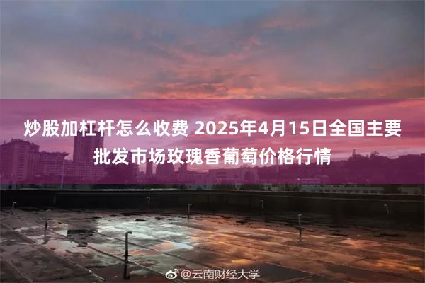 炒股加杠杆怎么收费 2025年4月15日全国主要批发市场玫瑰香葡萄价格行情